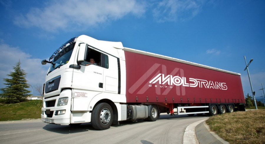 Moldtrans 39951