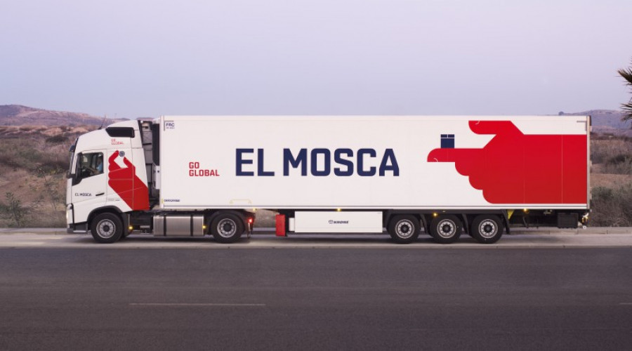 El mosca 34981