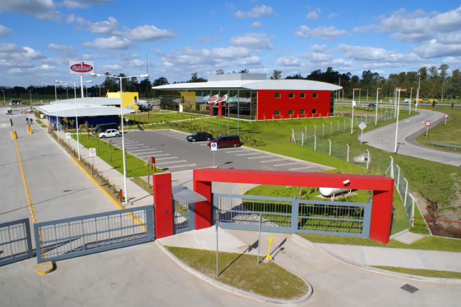 Planta sinteplast 34221