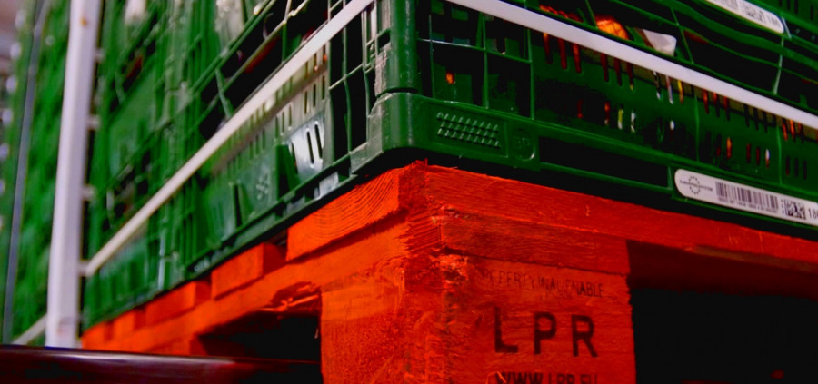 Trays on pallet 33202