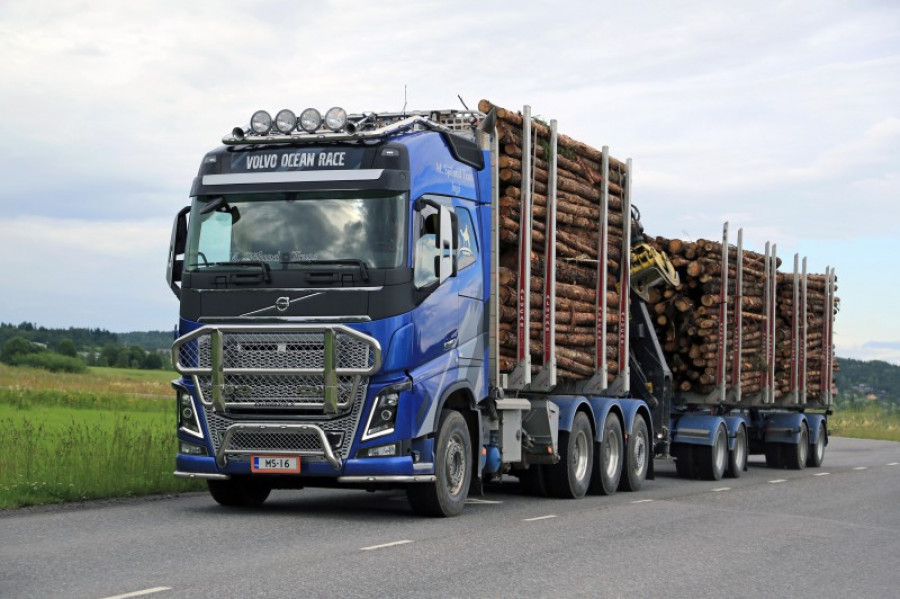 Camioncargatroncos123rf 33060