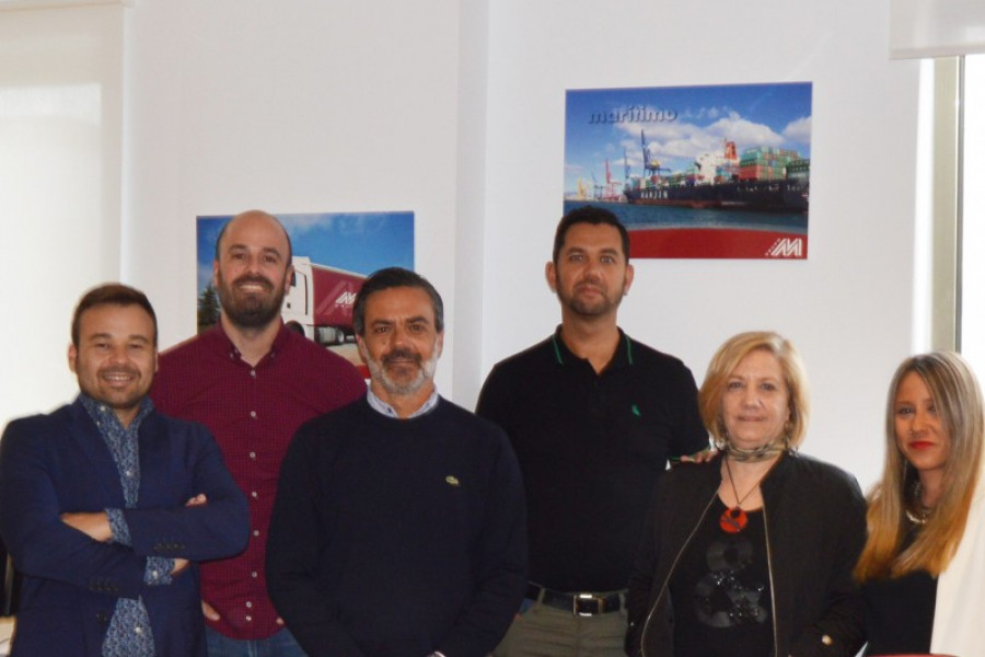 Equipo moldtrans las palmas 33053
