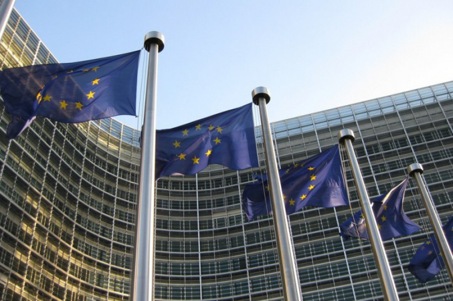 Comision europea 20022