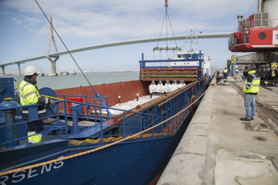 Cadiz 31555