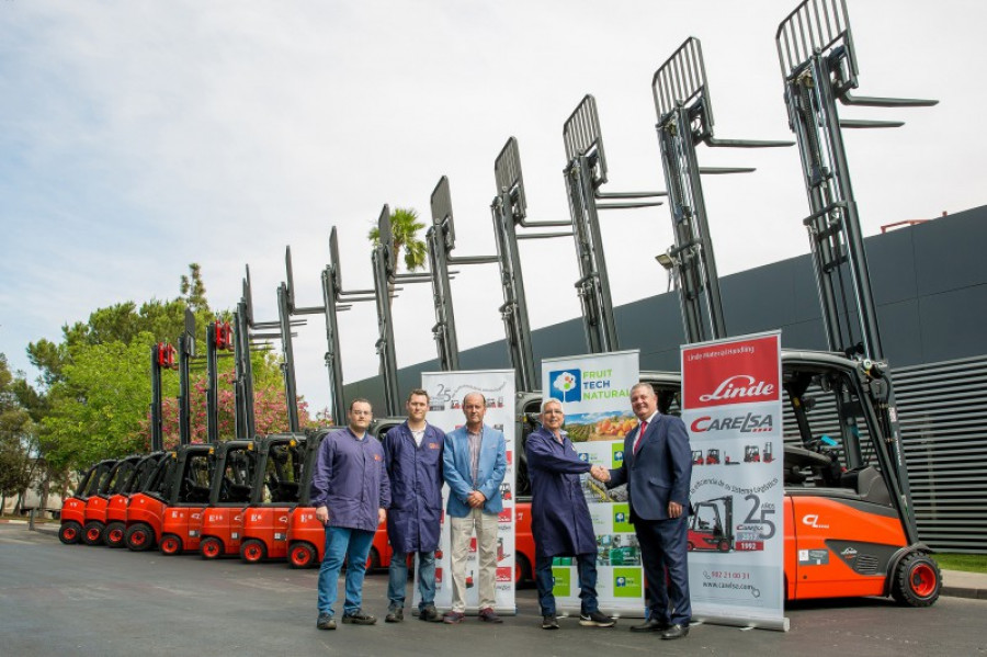 Linde fruit tech natural 29263