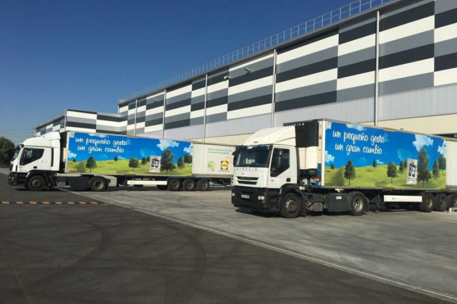 Lidl 29175