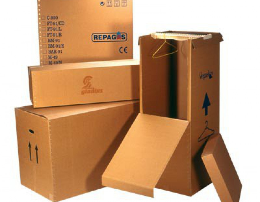 Cajas de carton 21690
