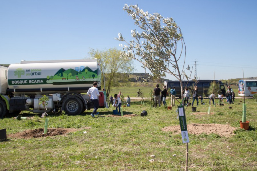 Bosque scania 27881