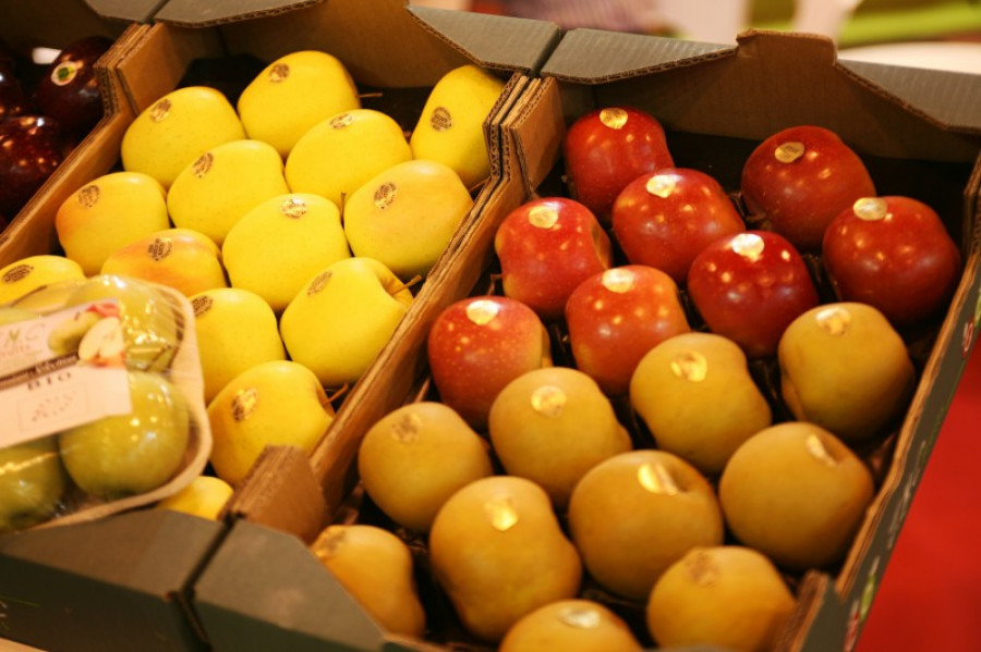 Fruit attraction 20893