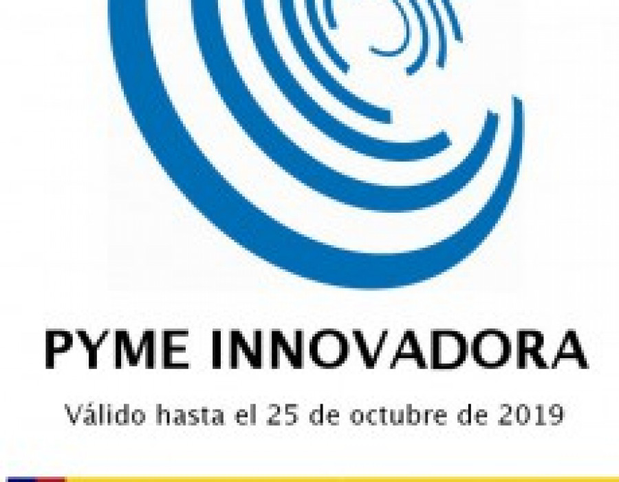 Pw pyme innovadora print europeo 27370