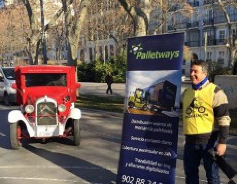 Palletways pinguinos 26368