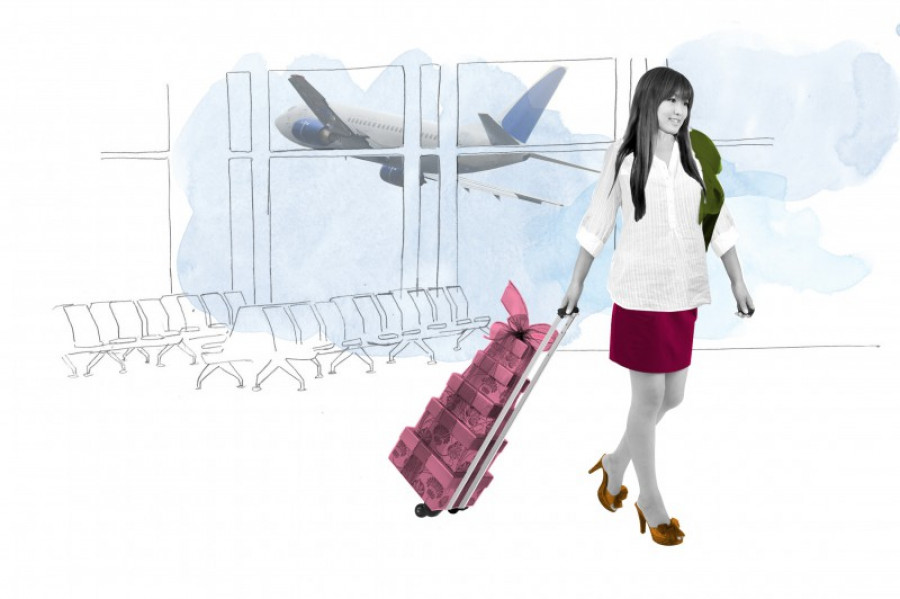Traveller airport 24894