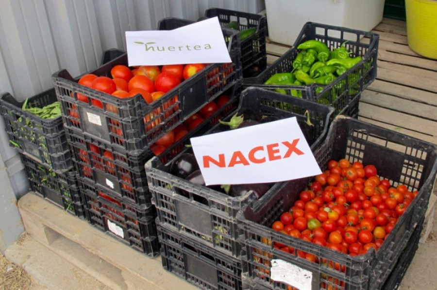 Nacex 24086