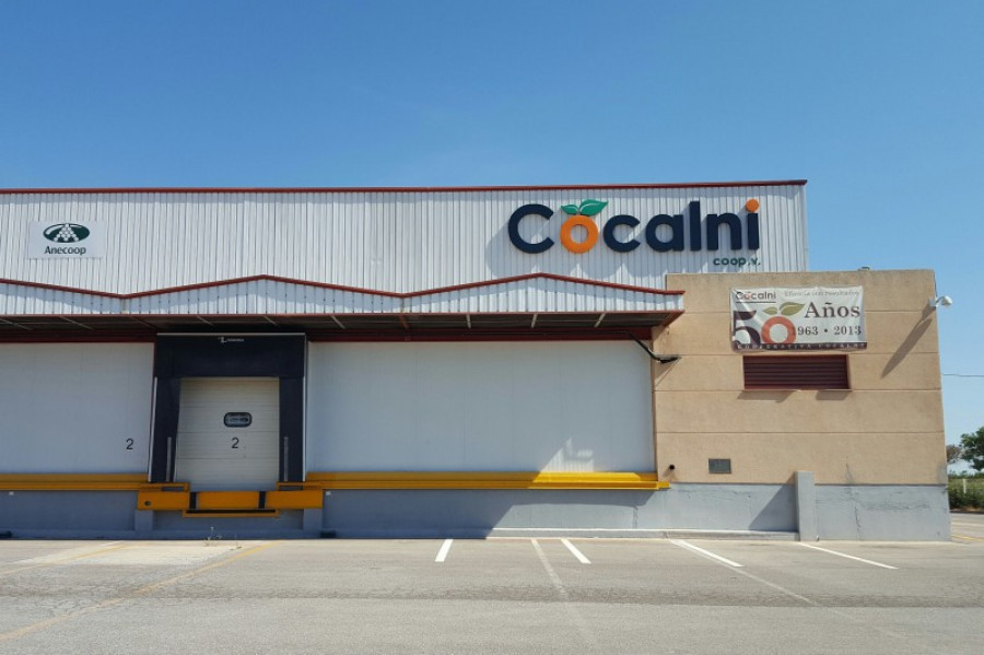 Chep cocalni 23879