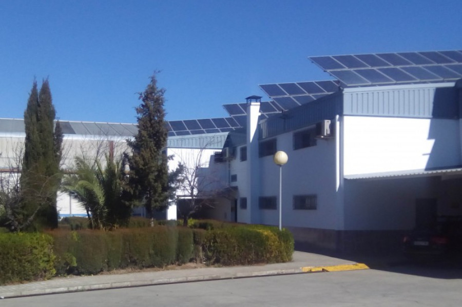 Agencia morago palletways 21925