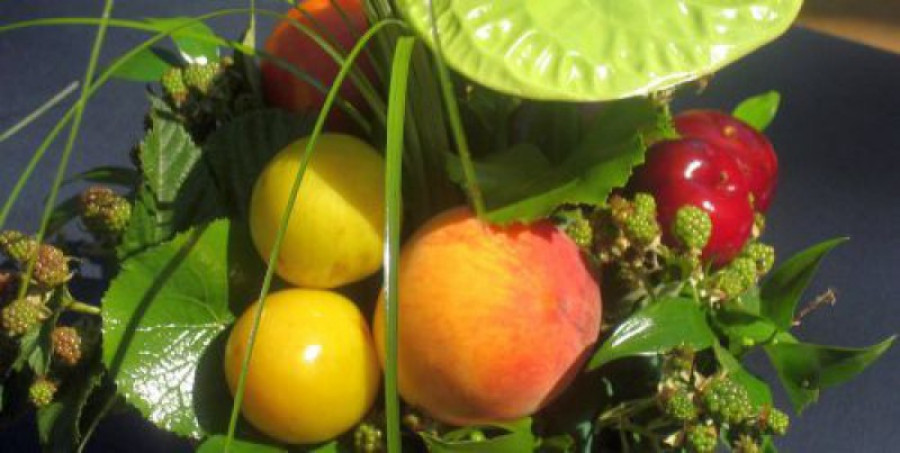 Frutas hortalizas 21453