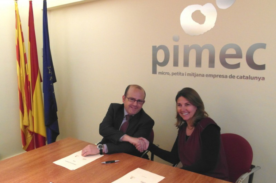 Sil pimec 15248
