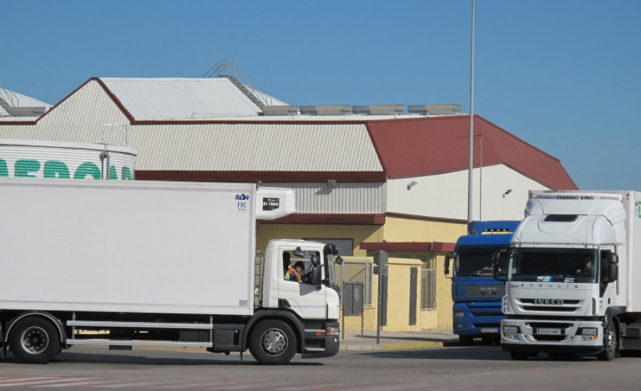 Flota camiones 41894