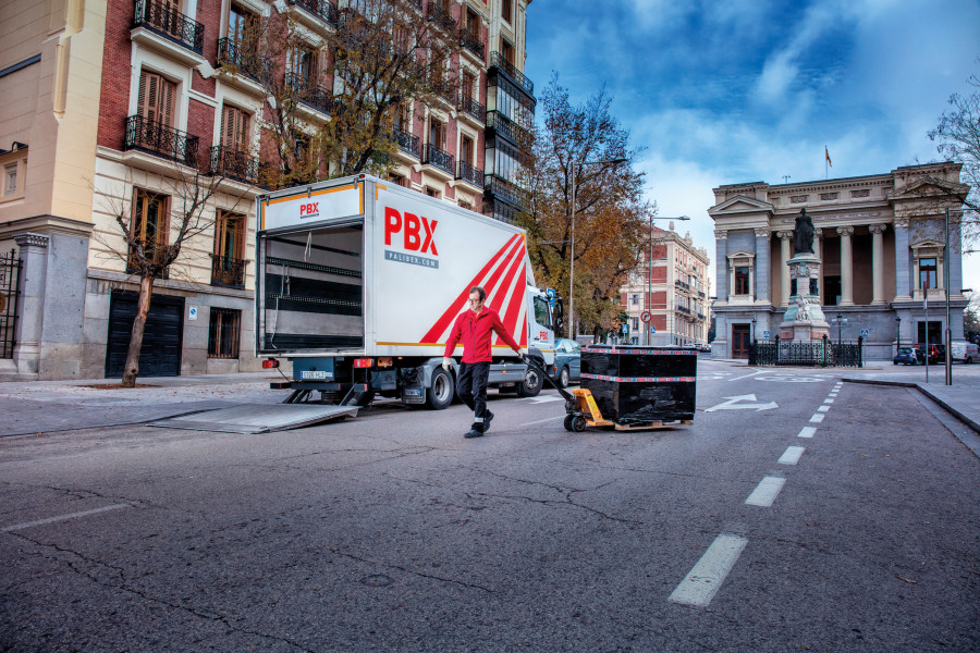 Camion reparto palibex
