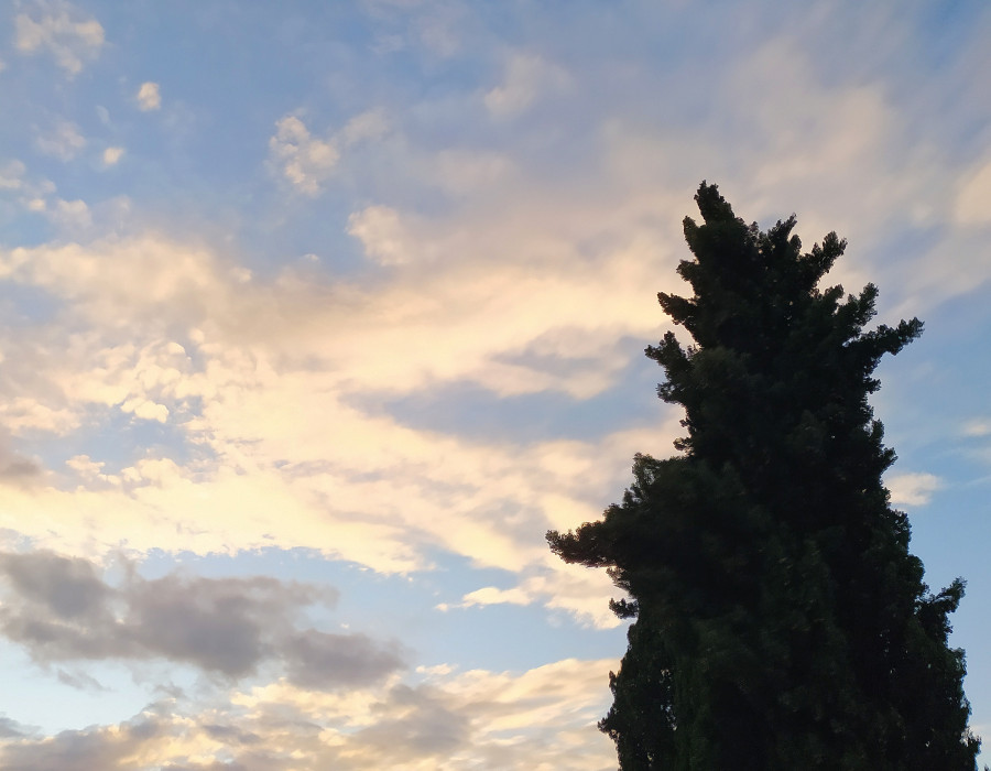 IMG 20200608 131818