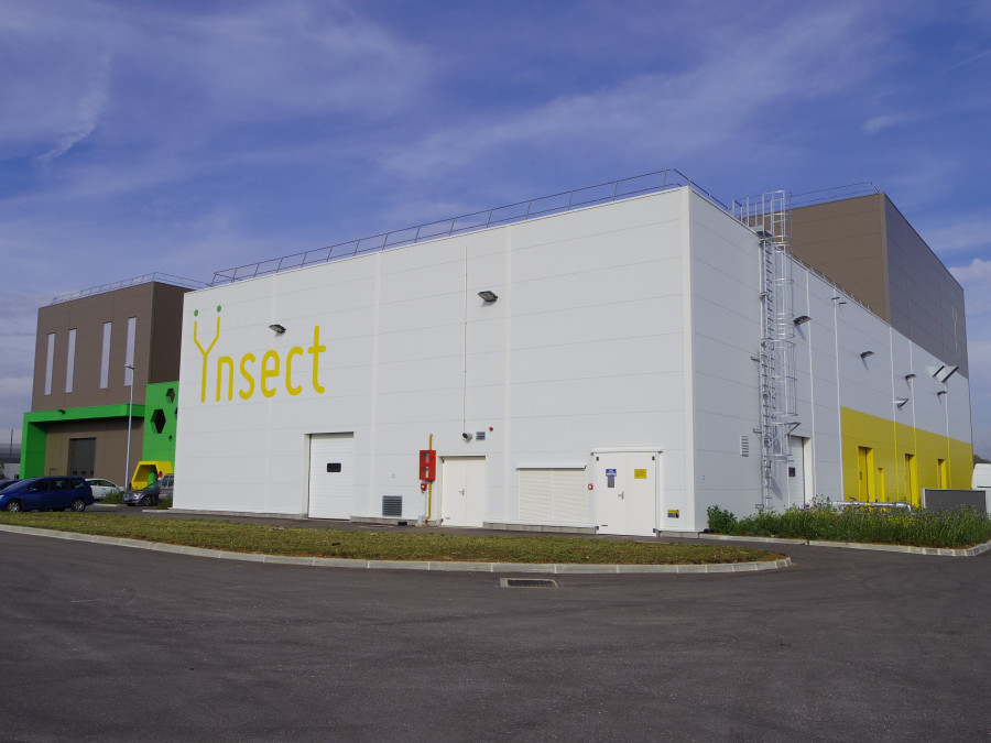 Ynsite