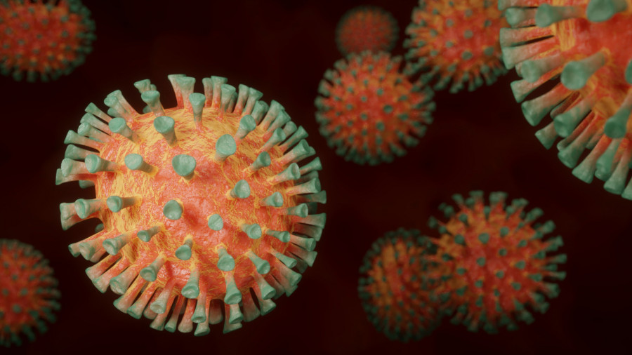 Coronavirus 4972480