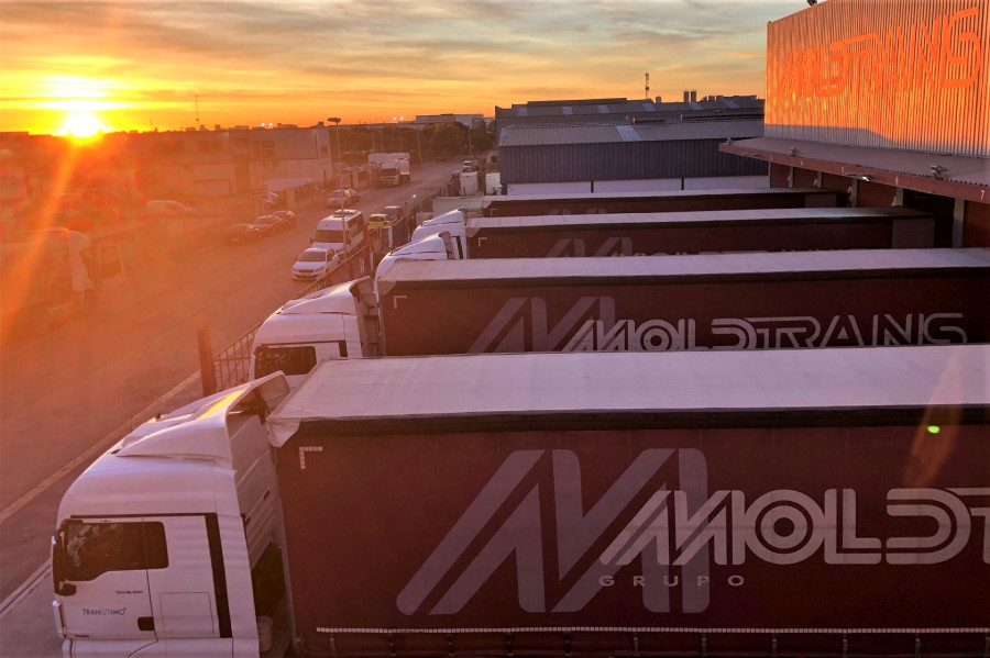 MOLDTRANS AMANECER VF