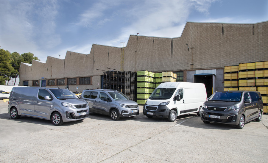Grupo 01
