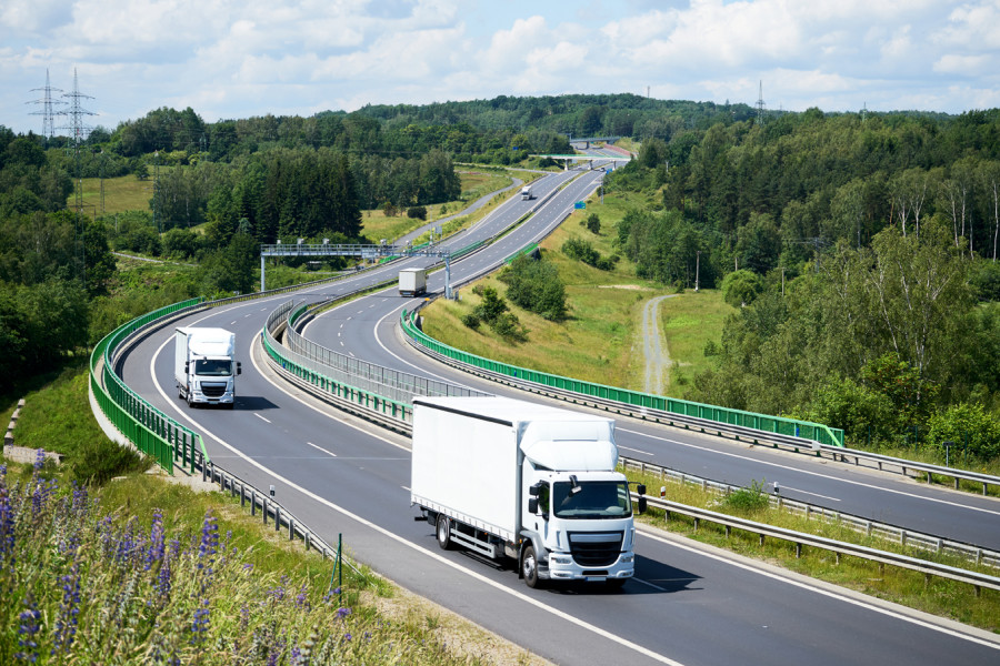 Camionesweb