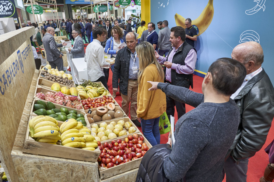 Ifema 2019 FA19 042