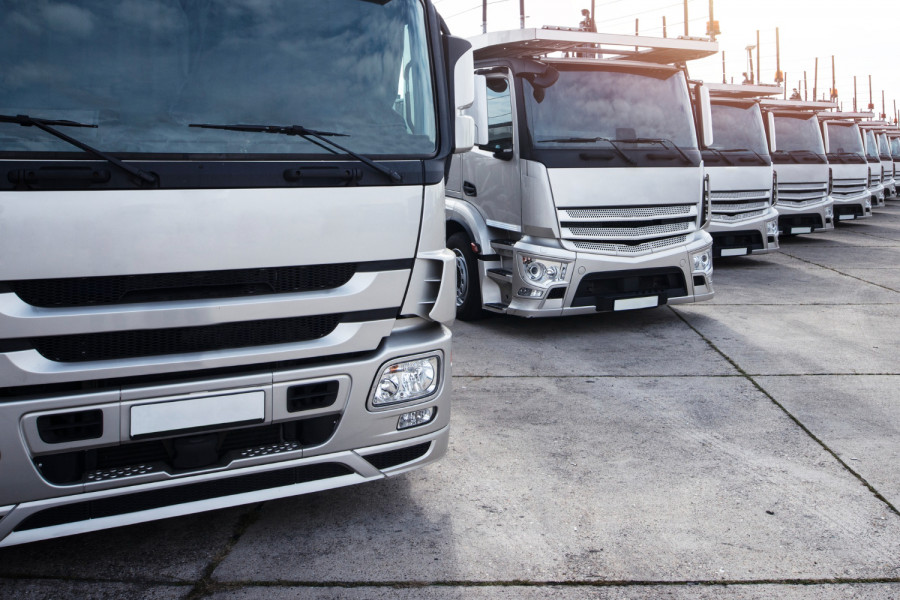 Group of trucks parked in row