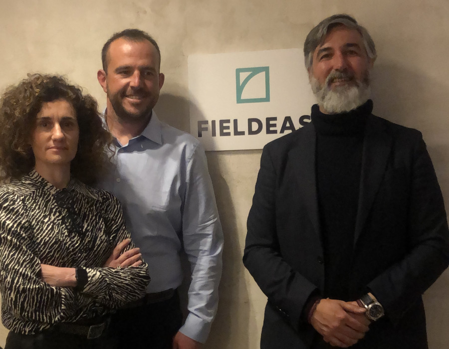 Fieldeas