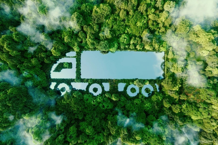 5560604