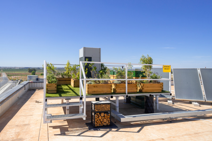 VGP Proyecto polinizacion abejas