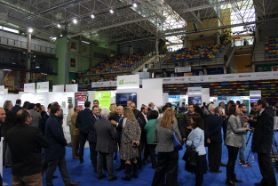 LS general ambiente
