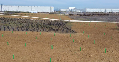 Imagen del complejo con algunos árboles plantados