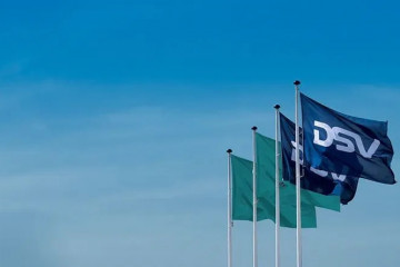 Dsv