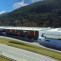 Sodeca ripoll