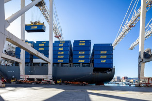 Tailwind Container Loading